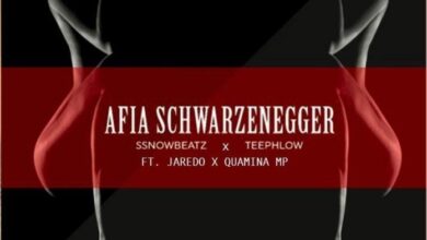Ssnowbeatz Ft Teephlow, Jaredo & Quamina MP – Afia Schwarzenegger (Remix)