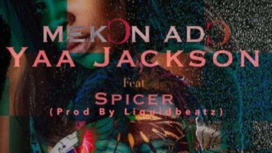 Yaa Jackson Ft Spicer – Mekon Ado (Prod By Liquid Beatz)