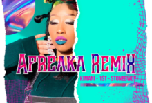 Victoria Kimani & FKI 1st – Afreaka (Remix) Ft Stonebwoy
