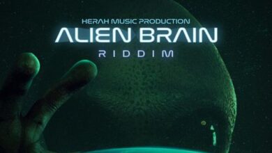 Chronic Law – Informer (Alien Brain Riddim)