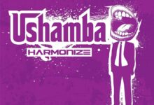 Harmonize – Ushamba (Prod. By Yung Keyz)