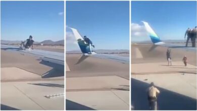 Boy Jumped On Plane Wing As It Was Going To Take Off, What Happen Next Is Sad - Video
